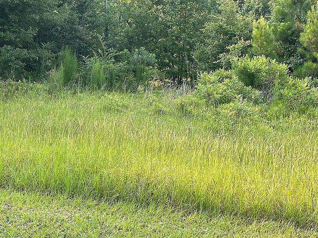 Image of 99 Jaylin Oaks Dr