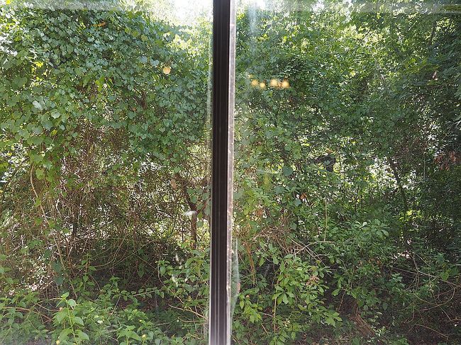 Photo of 89 Se 16th Ave Apt P102, Gainesville, FL
