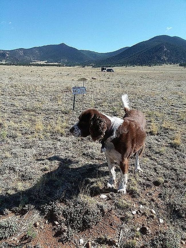 Image of 7313 Summit Rd
