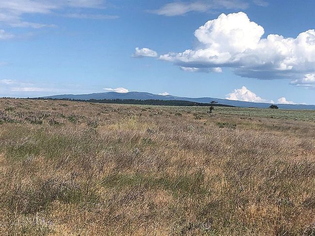 Photo of 50 Lightning Ln, Goldendale, WA