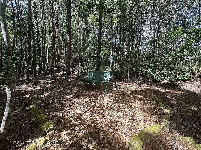 Photo of 11987 Highway 48 #43, Menlo, GA