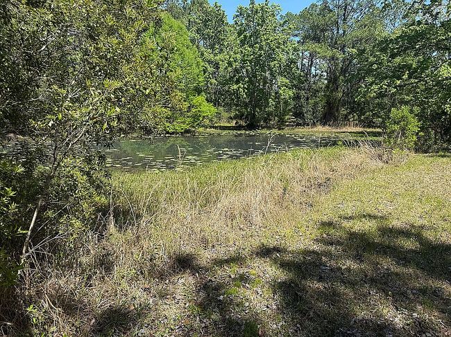 Image of 140 Buffalo Bluff Rd