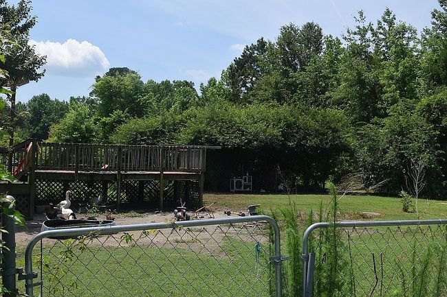 Image of 564 Emmett Ln