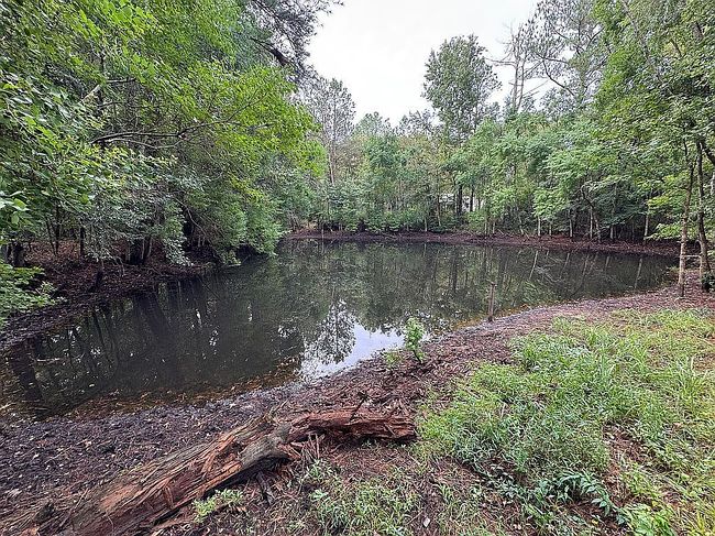 Photo of 6060 Highway 13, Morton, MS