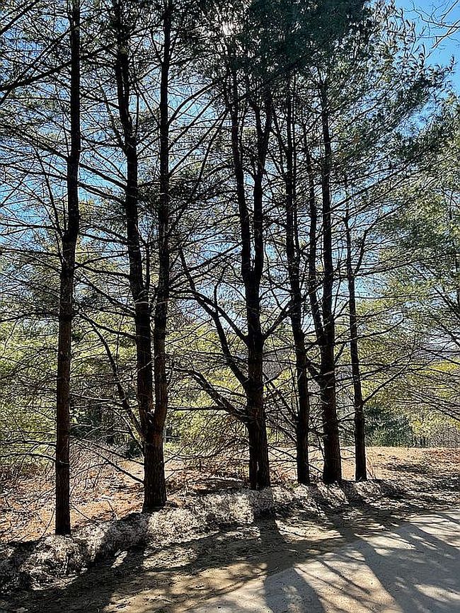 Image of 110 Mount Meenagha Rd