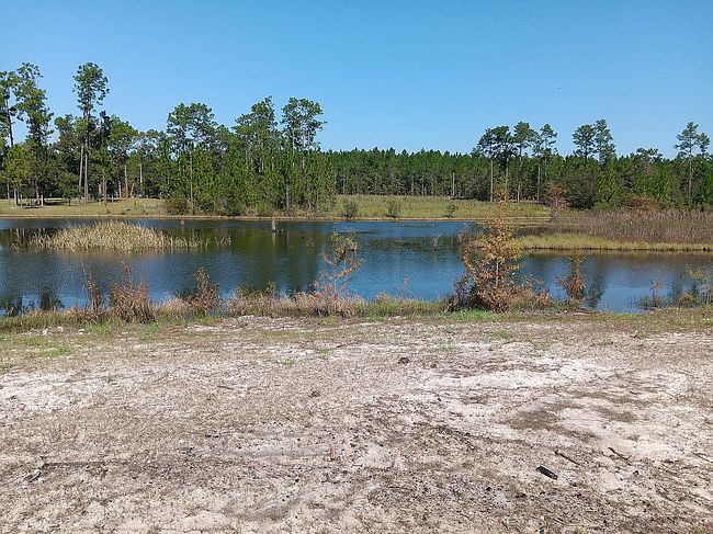 Image of 2808 Summer Cir