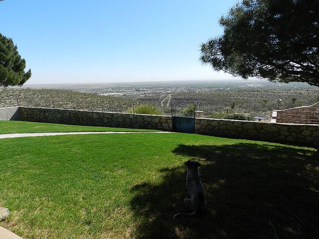 Photo of 1202 Miehls Dr, Carlsbad, NM