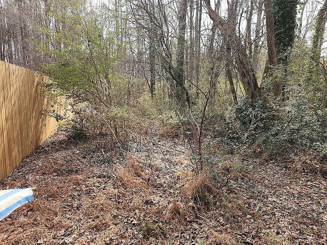 Photo of 2169 Tiffany Ln, Lithonia, GA