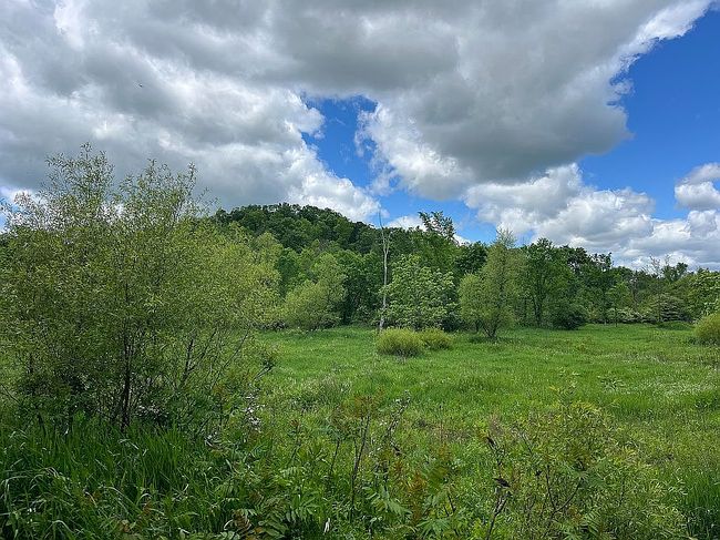 Additional photo 2 of property located at 6960 Crane Run Rd