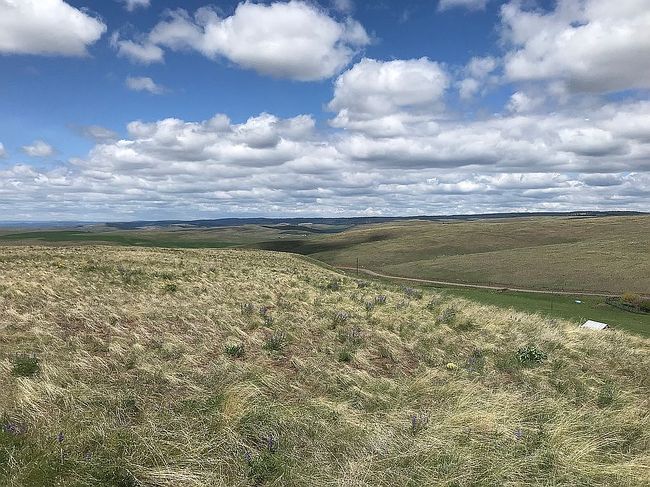 Additional photo 1 of property located at 69044 Golf Course Rd