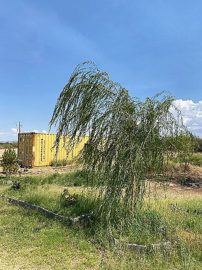 Photo of 2645 N Adkins Rd, San Simon, AZ