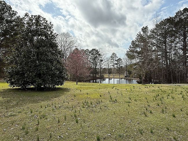 Image of 10 County Road 259
