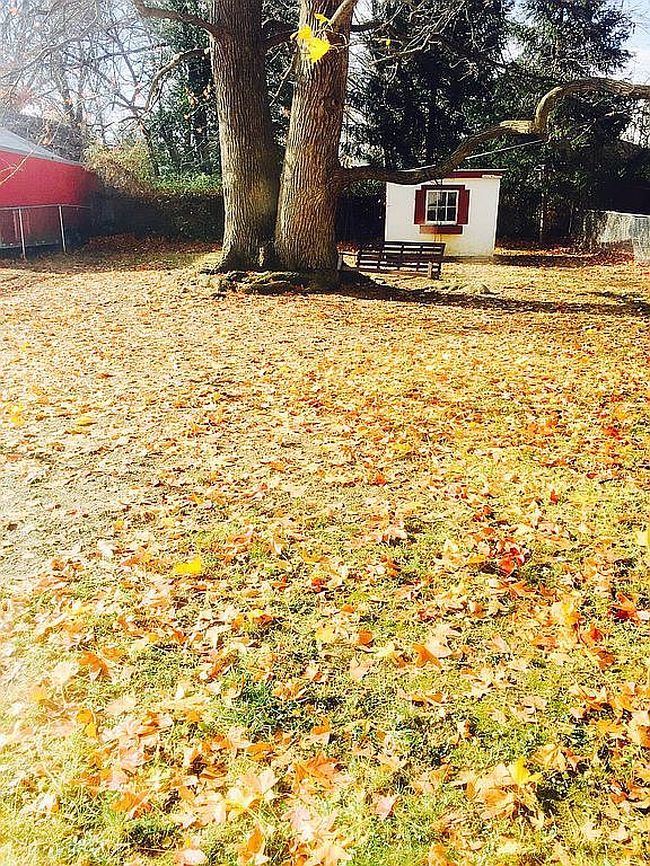 Image of 740 Sharon Ave