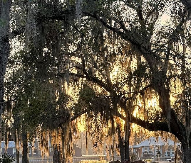 Photo of 679 Michel Rd, Pierre Part, LA