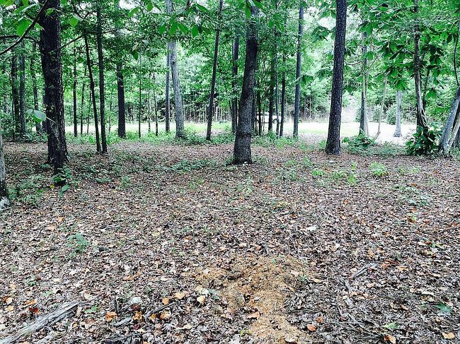 Image of 0 County Road 175