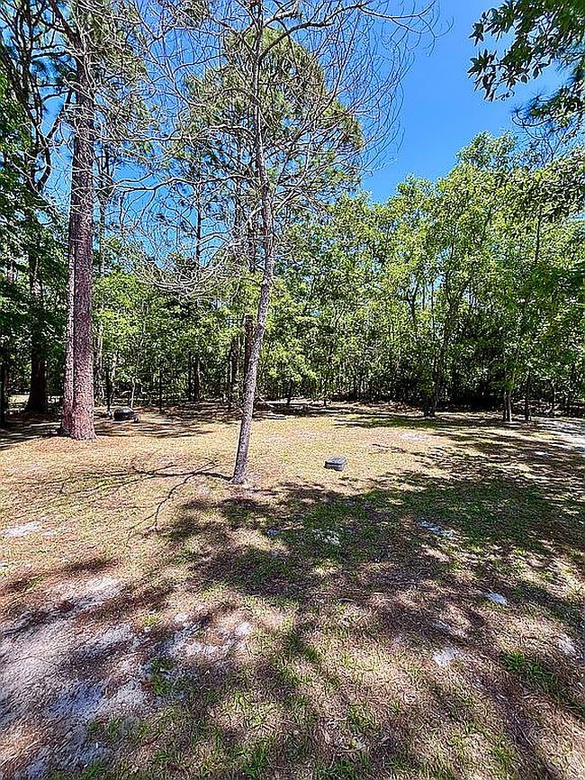 Image of 224 Spruce Pines Dr