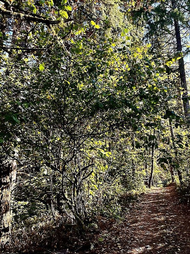 Image of 2678 Drift Creek Rd Ne