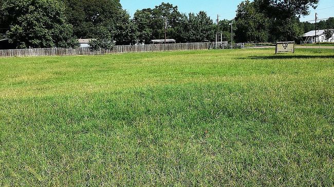 Image of 21089 County Road 2138