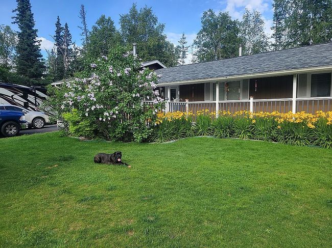 Image of 945 N Wesglenn Cir