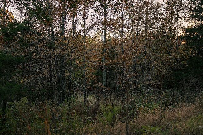 Image of 133 Wells Lee Rd