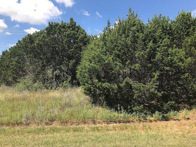 Image of 5604 Van Horn Dr