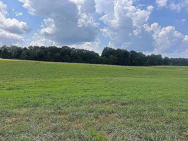 Photo of 100 Woodland Dr, Ider, AL