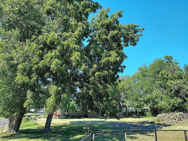 Image of 584 W Yerby St