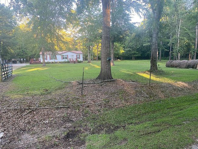 Photo of 162 County Road 6606
