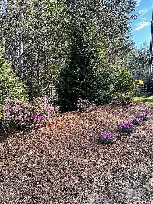 Photo of 11987 Highway 48, Menlo, GA