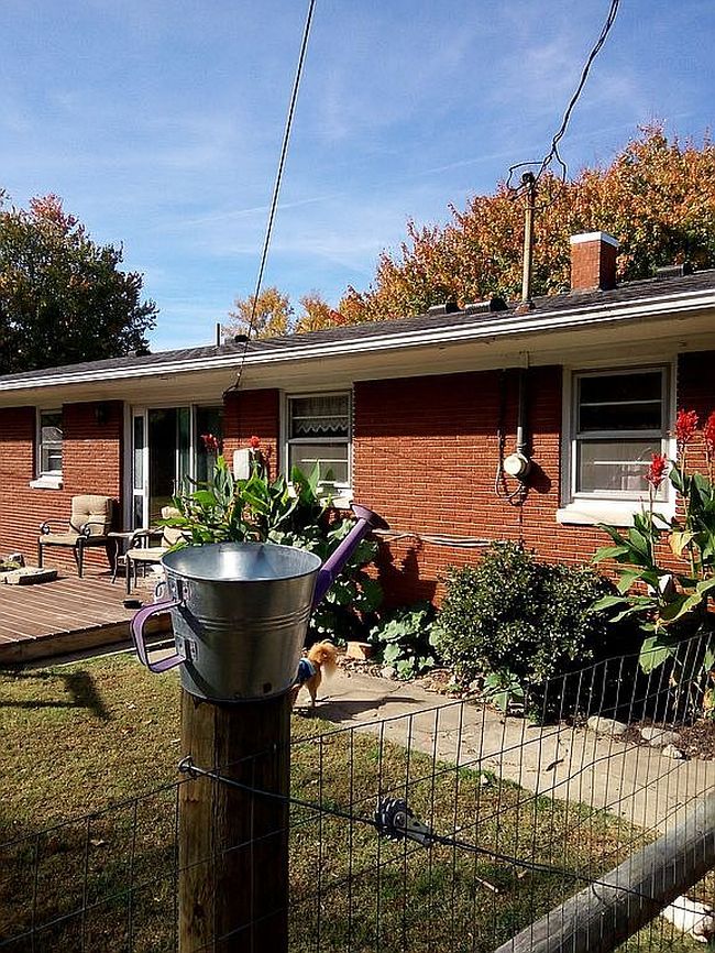 Photo of 74 Gentry Mill Rd, Russell Springs, KY