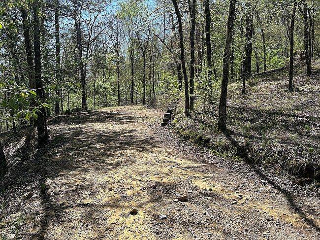 Photo of 304 Magby Ln, Gillham, AR