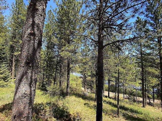 Photo of 4086 Meadow View Rd, Council, ID