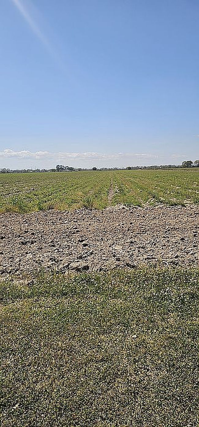 Image of 10620 North Rd