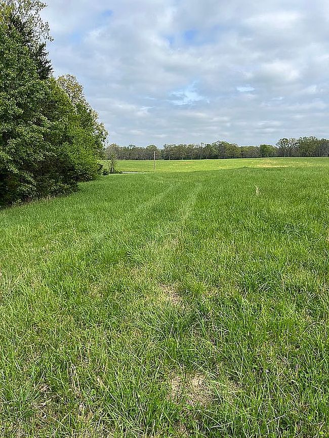 Photo of 0 County Road 8200, West Plains, MO