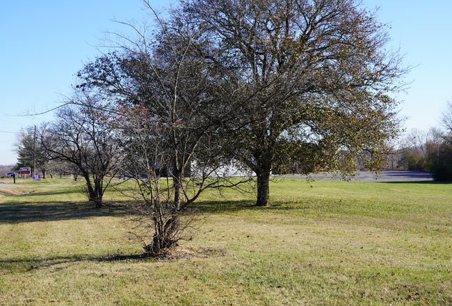 Image of 535 Boyds Creek Hwy