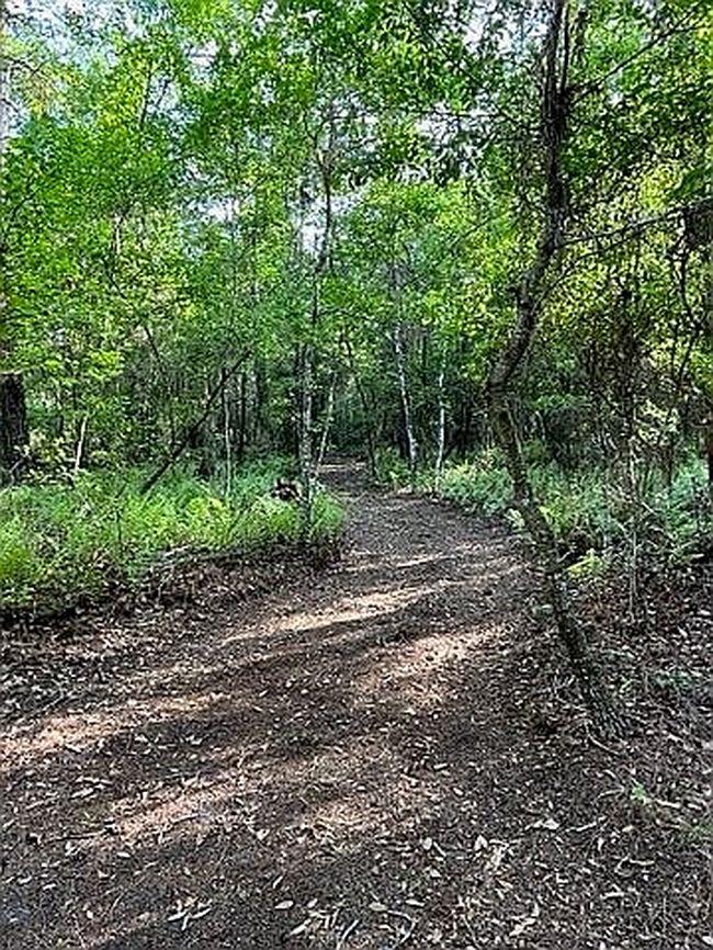 Photo of 0 County Road 209 S, Green Cove Springs, FL
