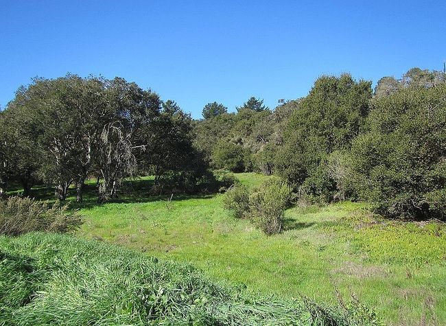 Image of 1 Vierra Canyon Rd