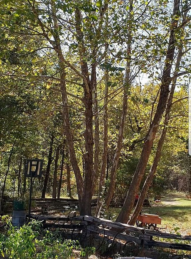 Image of 121298 S 4156th Rd