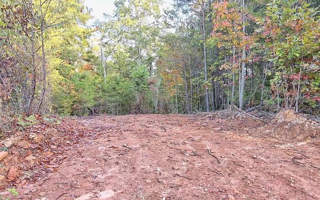 Photo of 0 Cook Henry rd. Morganton, Morganton, GA