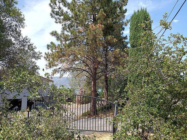 Image of 4835 Hawaina Way
