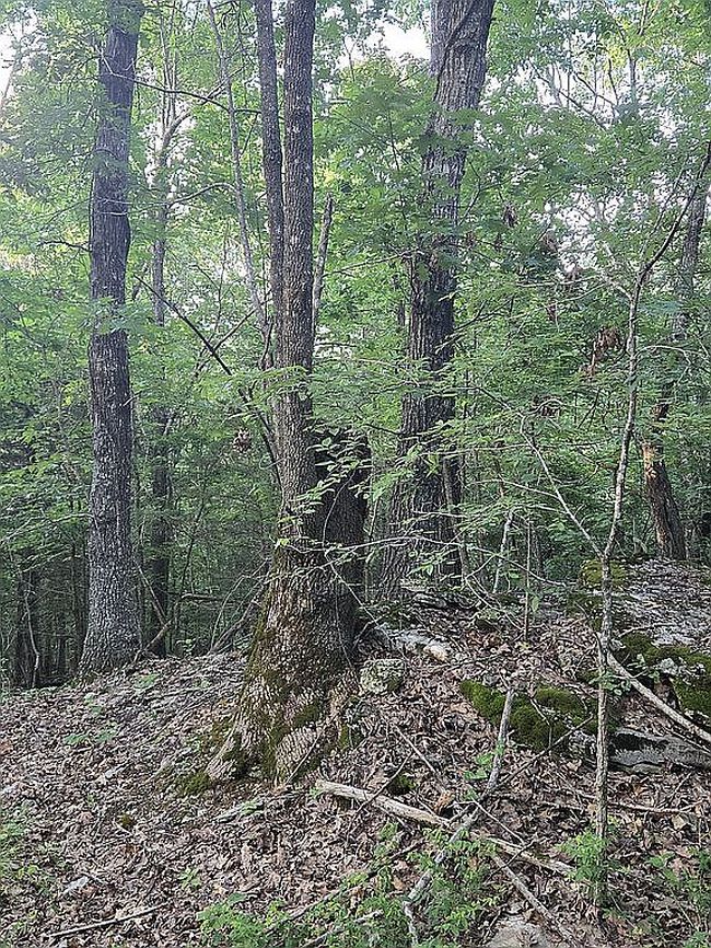 Photo of 2610 Rushing Ridge Rd, Harrison, AR