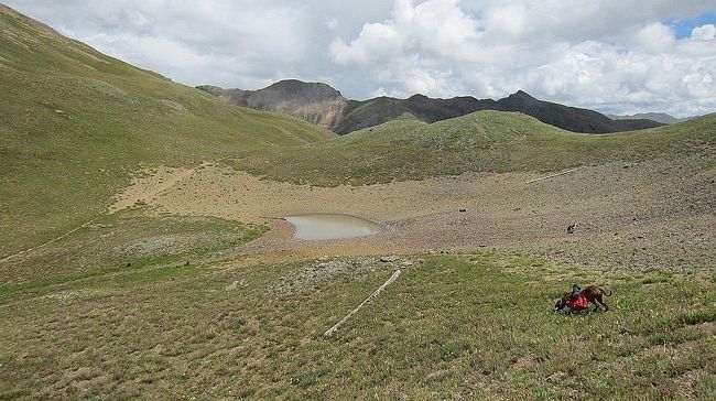 Photo of Senator Hanna Gold Property #480047709, Silverton, CO