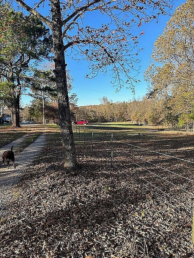 Image of 660 Old Camp Rd