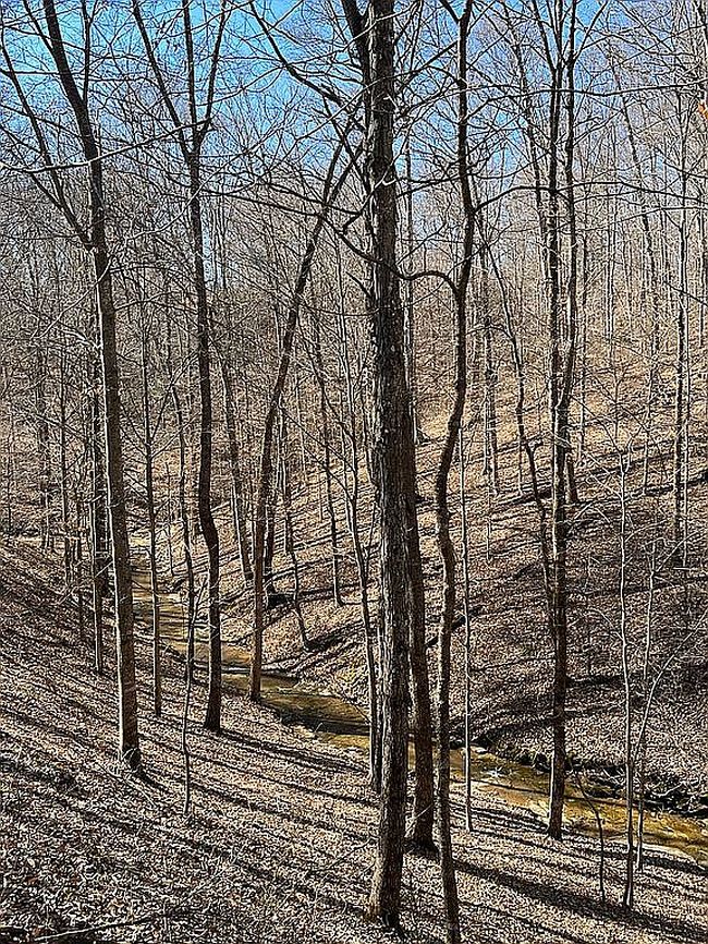 Image of 146 Bf Flatt Rd