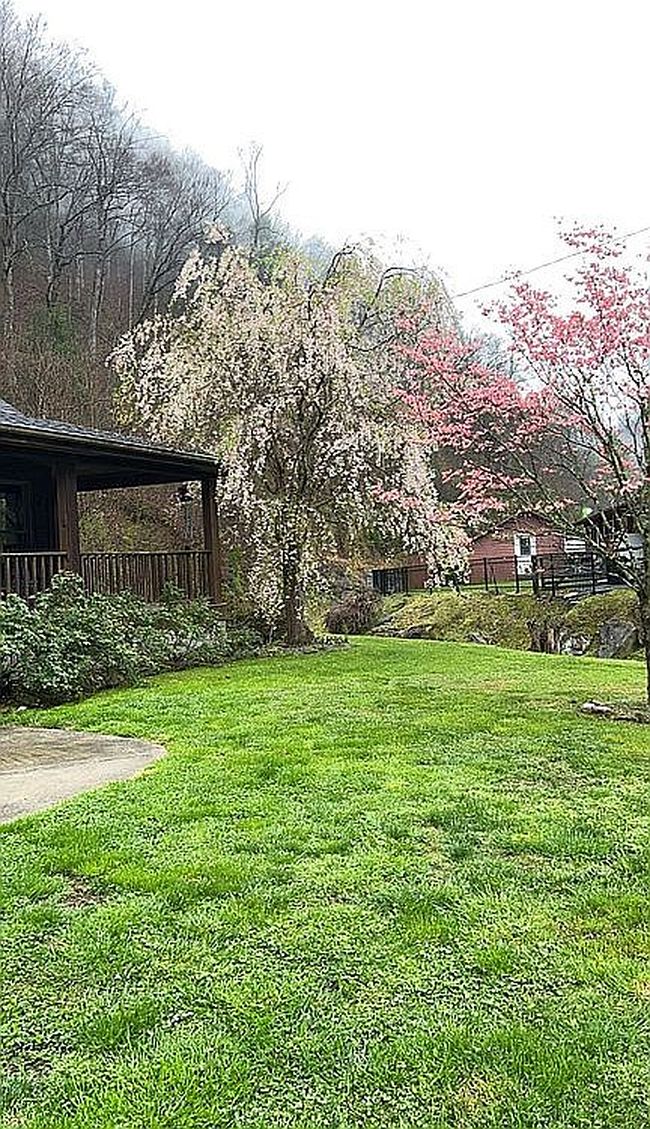 Image of 3716 Chloe Rd
