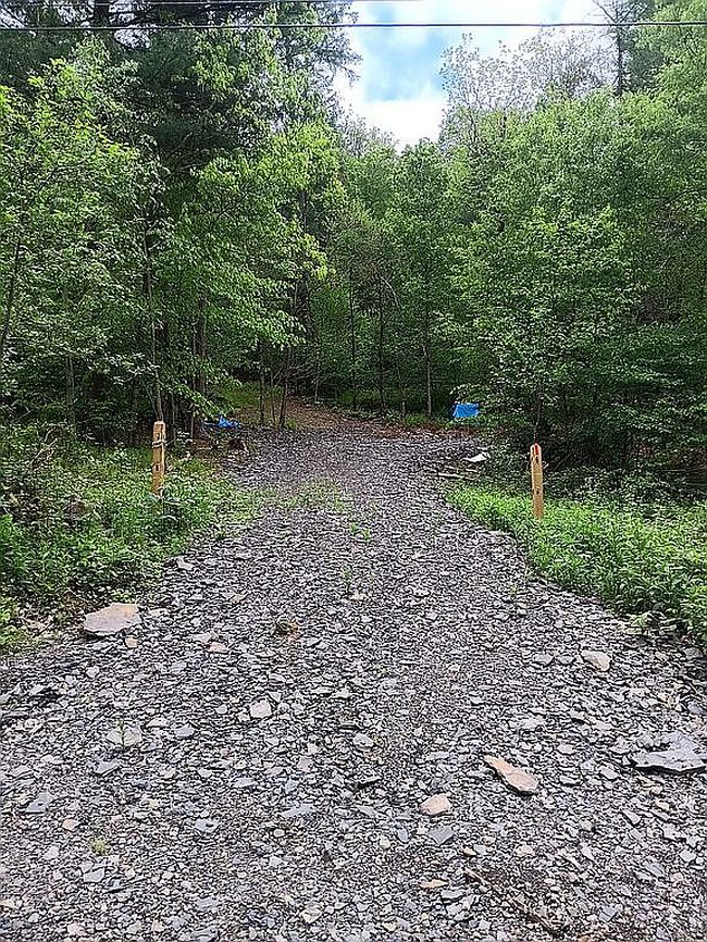 Photo of 316 Bardin Rd, Mount Vision, NY