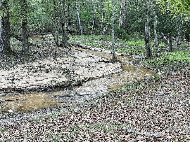 Image of 186 Beech Springs Rd