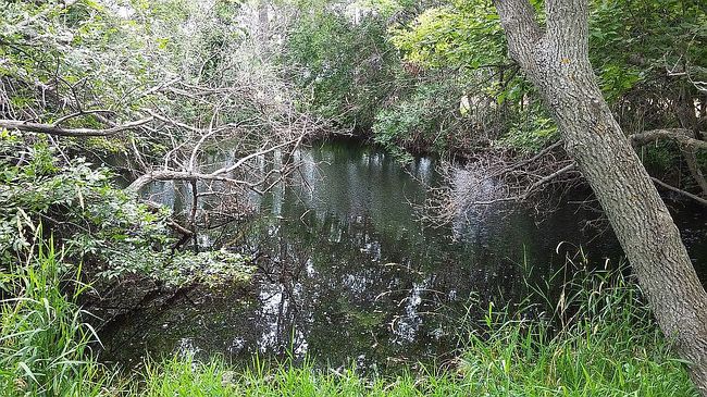 Image of 3610 County Road 26