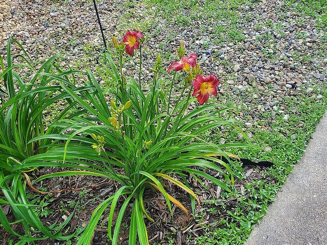 Photo of 6748 Turk Rd, Texarkana, AR