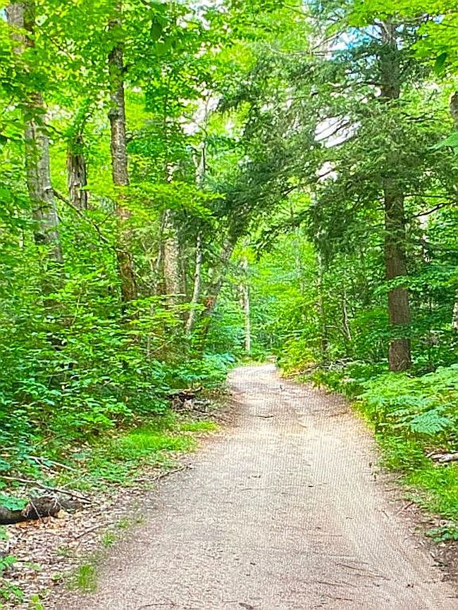 Photo of 20261 Birchwood Rd, Newberry, MI